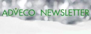 December snowy newsletter banner